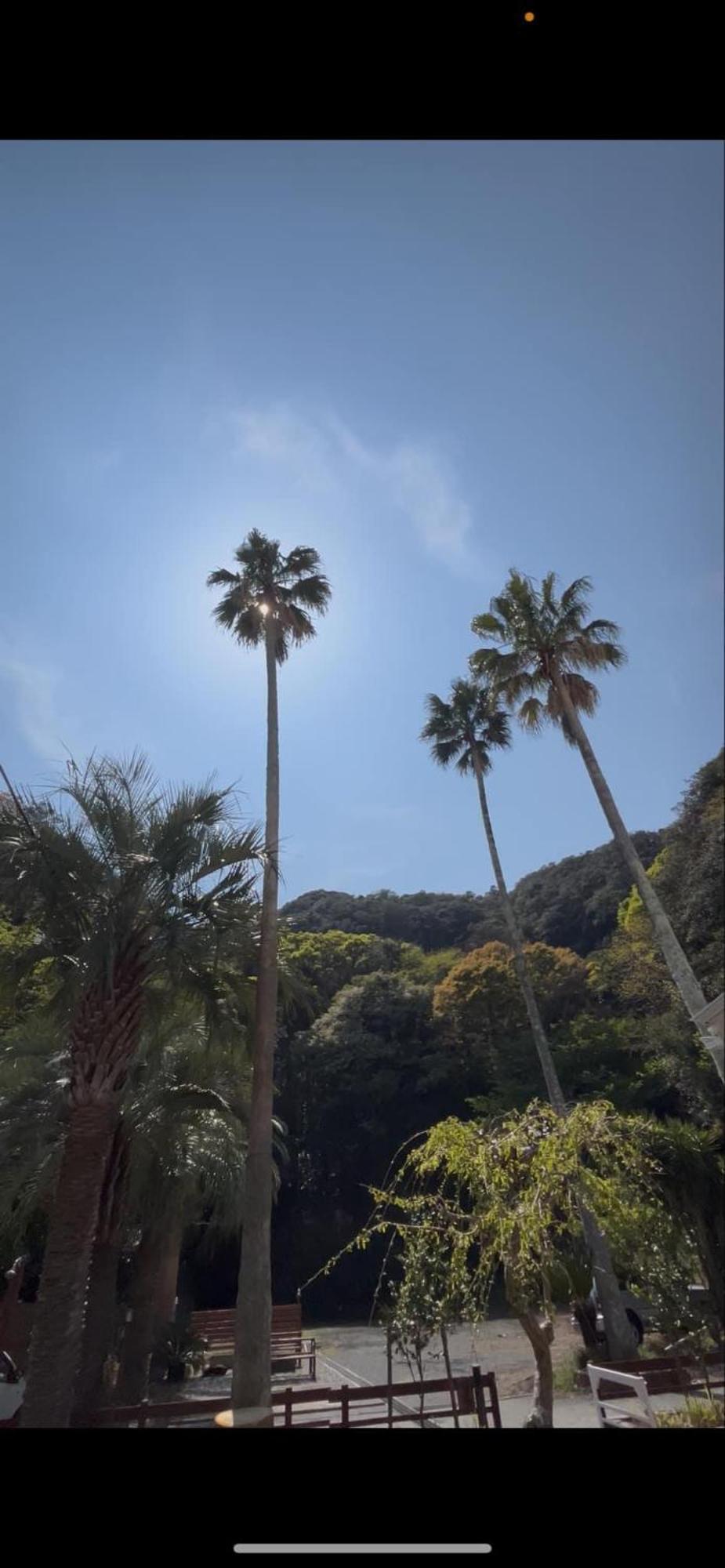 The Surf Lodge White Beach Shimoda  Exterior foto